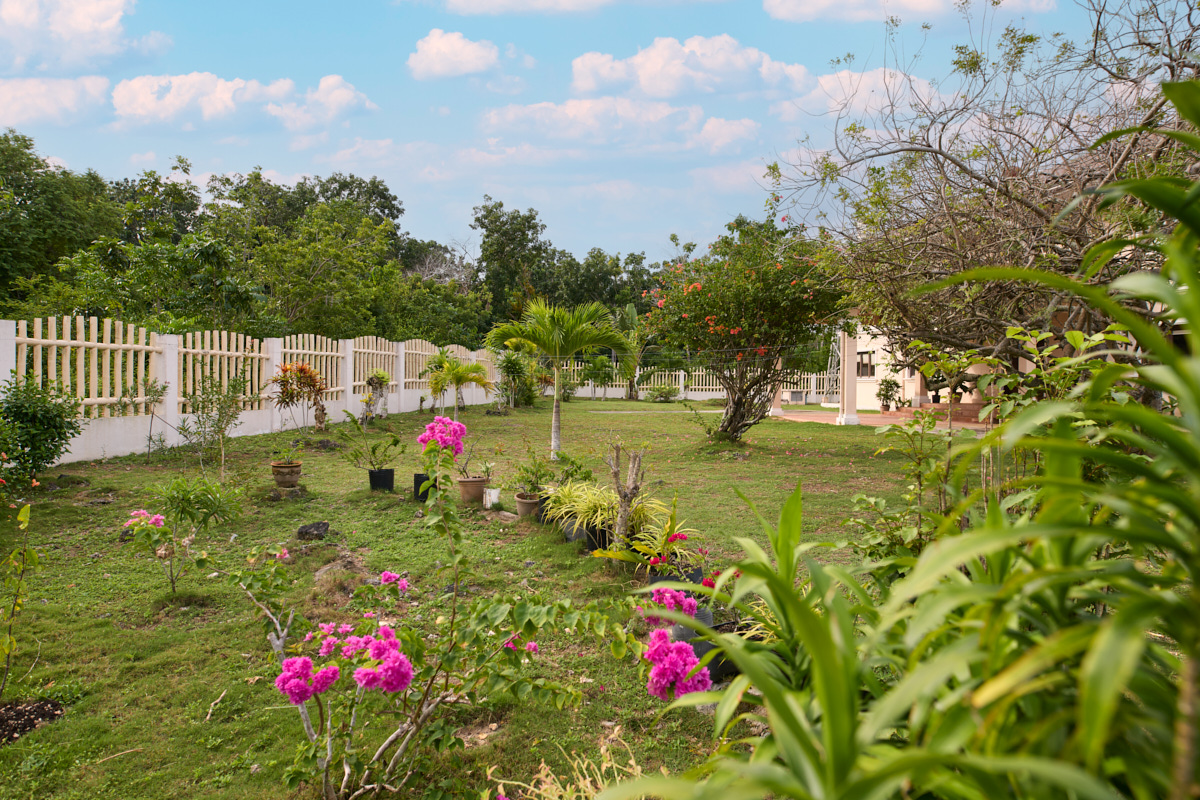 Landscaped garden with fence and bougainvillea