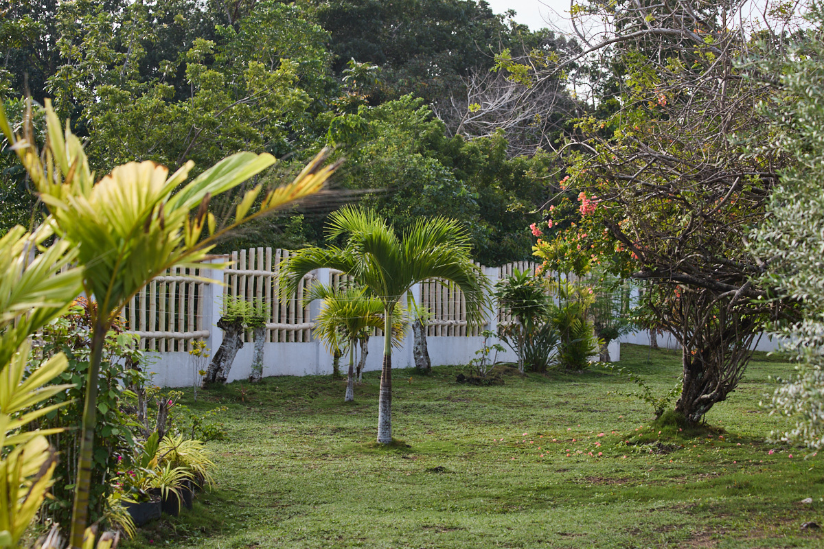 Garden along the fenced boundary